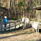 KOE_Wildpark 2014-02 5.jpg