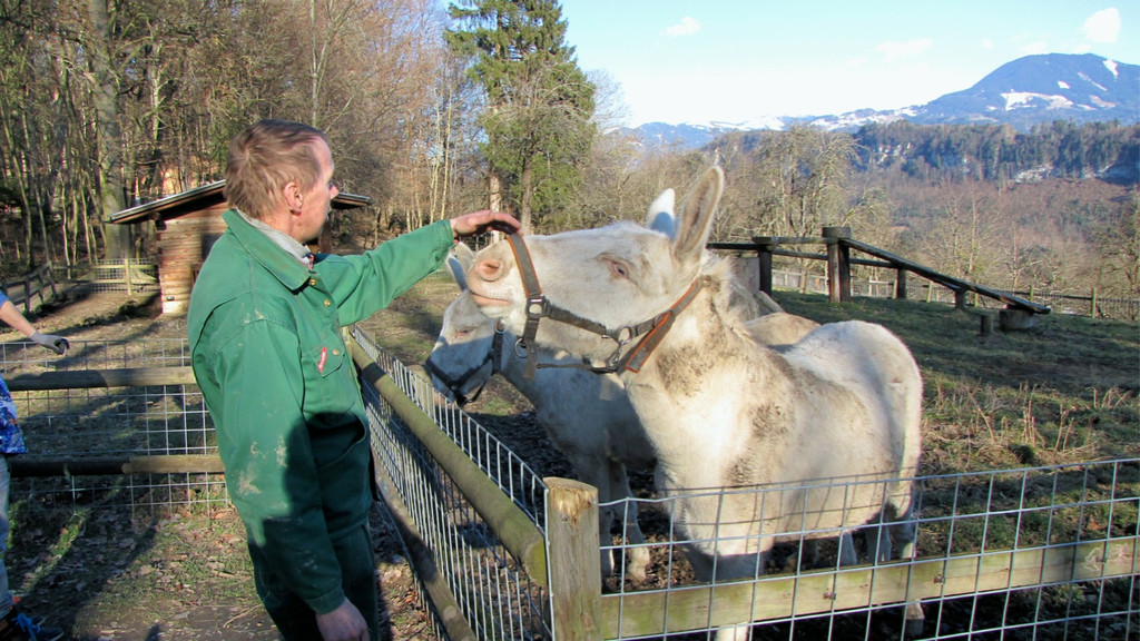 KOE_Wildpark 2014-02 10.jpg