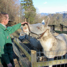 KOE_Wildpark 2014-02 10.jpg