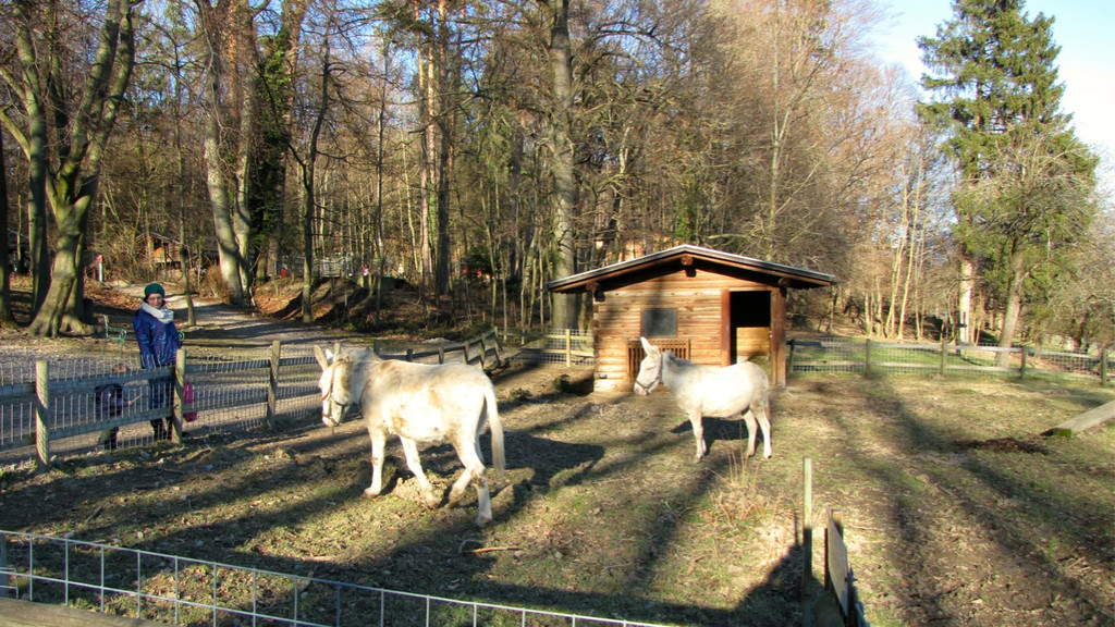 KOE_Wildpark 2014-02 12.jpg