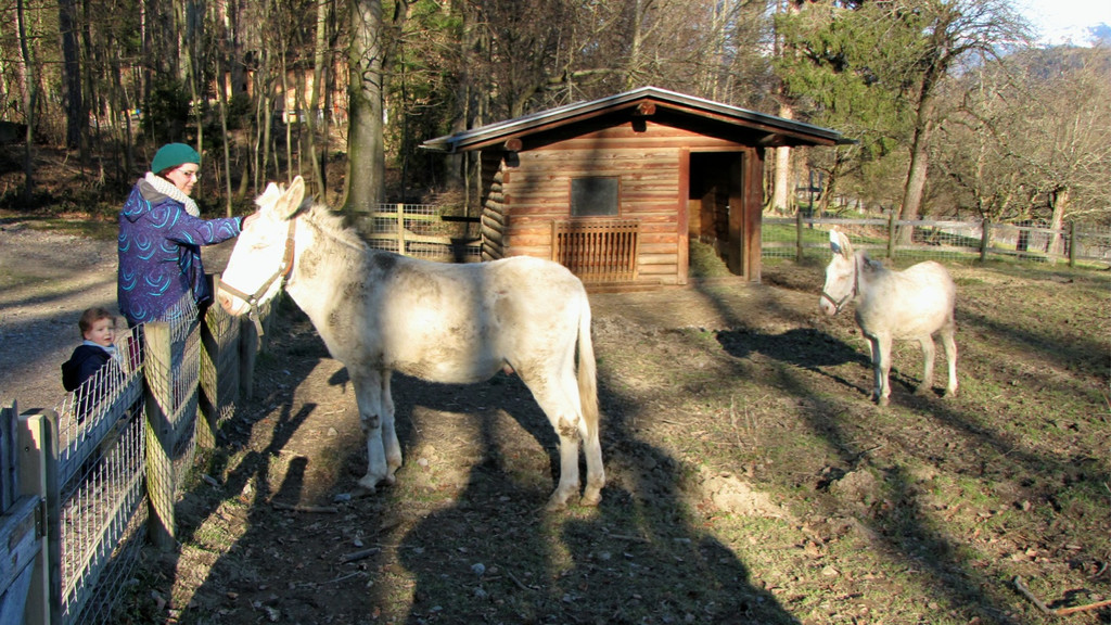 KOE_Wildpark 2014-02 13.jpg