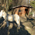 KOE_Wildpark 2014-02 13.jpg