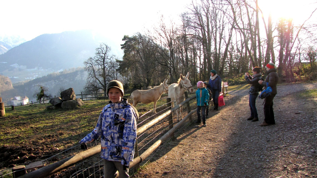 KOE_Wildpark 2014-02 15.jpg