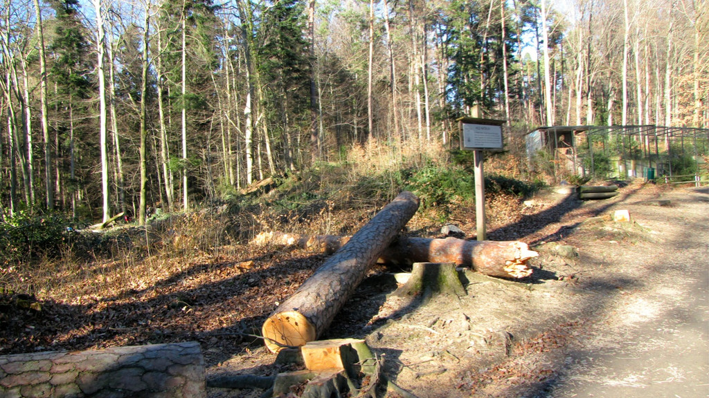 KOE_Wildpark 2014-02 26.jpg