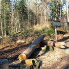 KOE_Wildpark 2014-02 26.jpg