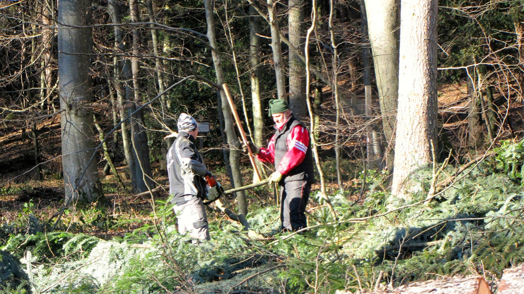 KOE_Wildpark 2014-02 27.jpg