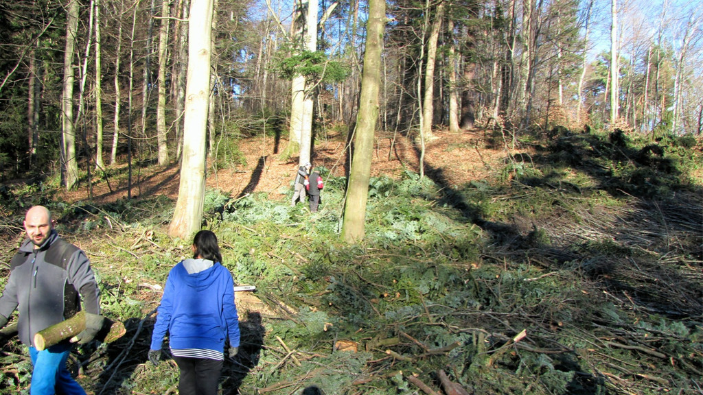 KOE_Wildpark 2014-02 28.jpg