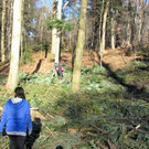 KOE_Wildpark 2014-02 28.jpg