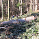 KOE_Wildpark 2014-02 29.jpg