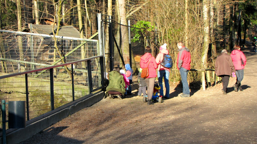 KOE_Wildpark 2014-02 33.jpg