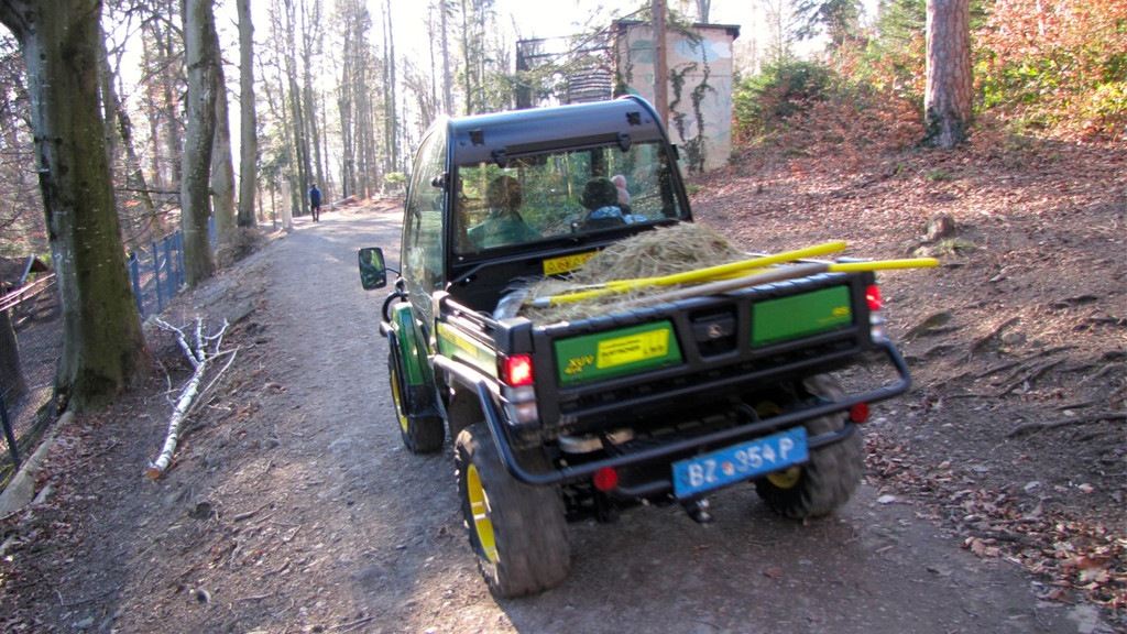 KOE_Wildpark 2014-02 32.jpg