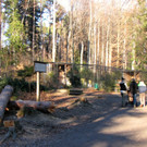 KOE_Wildpark 2014-02 37.jpg