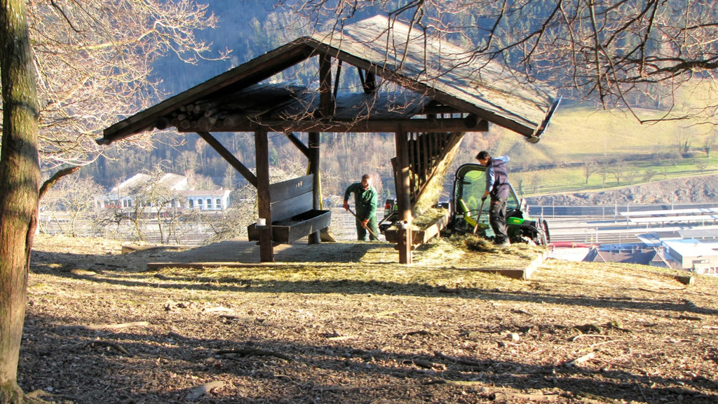 KOE_Wildpark 2014-02 38.jpg