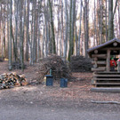 KOE_Wildpark 2014-02 40.jpg