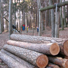 KOE_Wildpark 2014-02 41.jpg