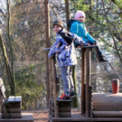 KOE_Wildpark 2014-02 42.jpg