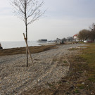 Uferarbeiten am See Materialausgleichung 2014 _1_.jpg