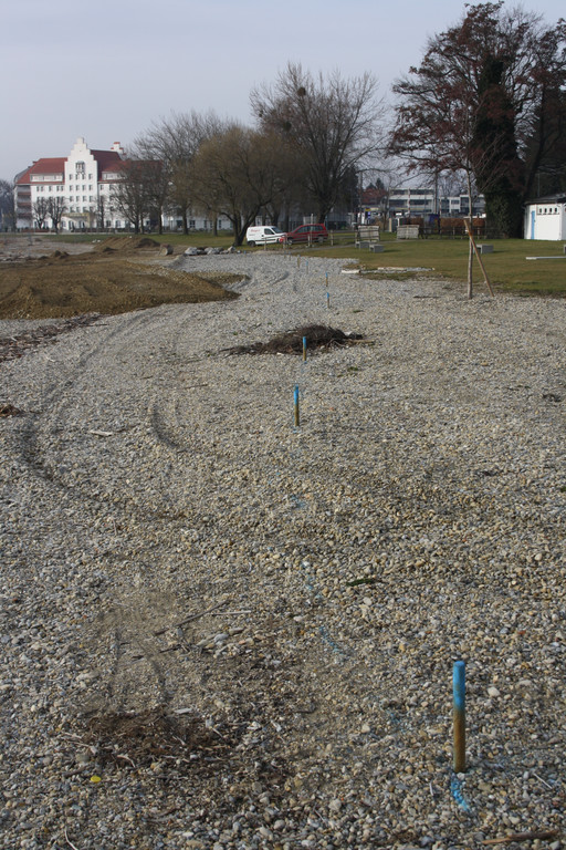 Uferarbeiten am See Materialausgleichung 2014 _24_.jpg