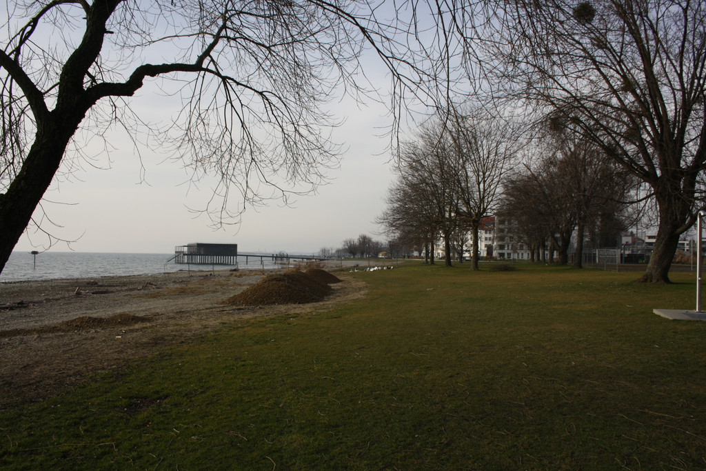 Uferarbeiten am See Materialausgleichung 2014 _8_.jpg