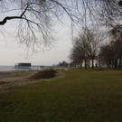 Uferarbeiten am See Materialausgleichung 2014 _8_.jpg