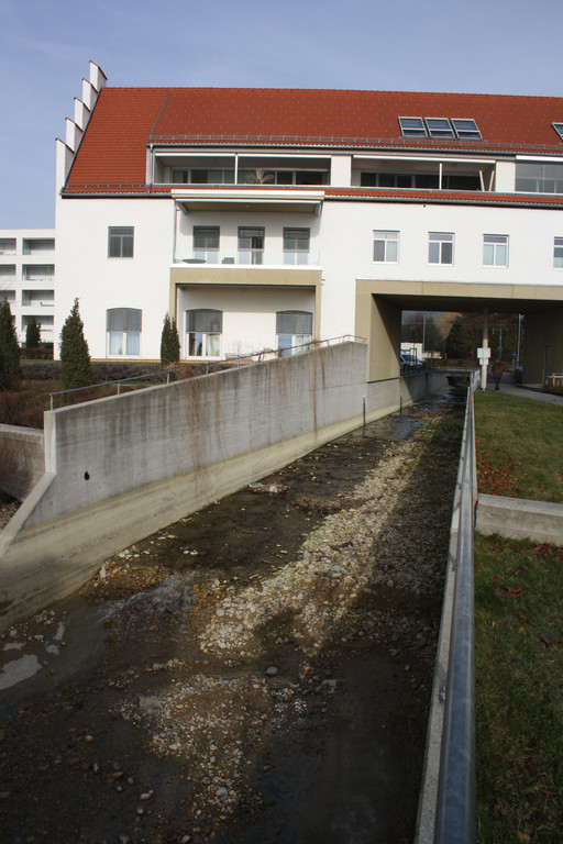 Uferarbeiten am See Materialausgleichung 2014 _5_.jpg