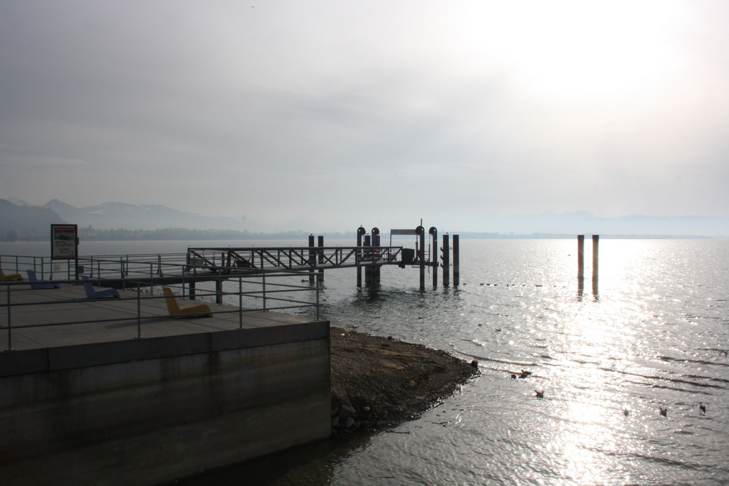 Uferarbeiten am See Materialausgleichung 2014 _4_.jpg