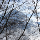 IMG_0125.JPG
