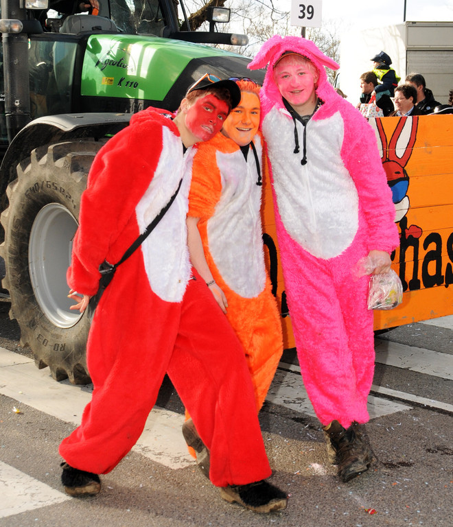 Umzug Hard 22-02-2014 154.jpg