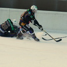 k-IMG_6559 - Kopie.JPG