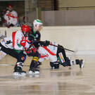 k-IMG_6740 - Kopie.JPG