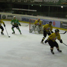 P2220339.JPG