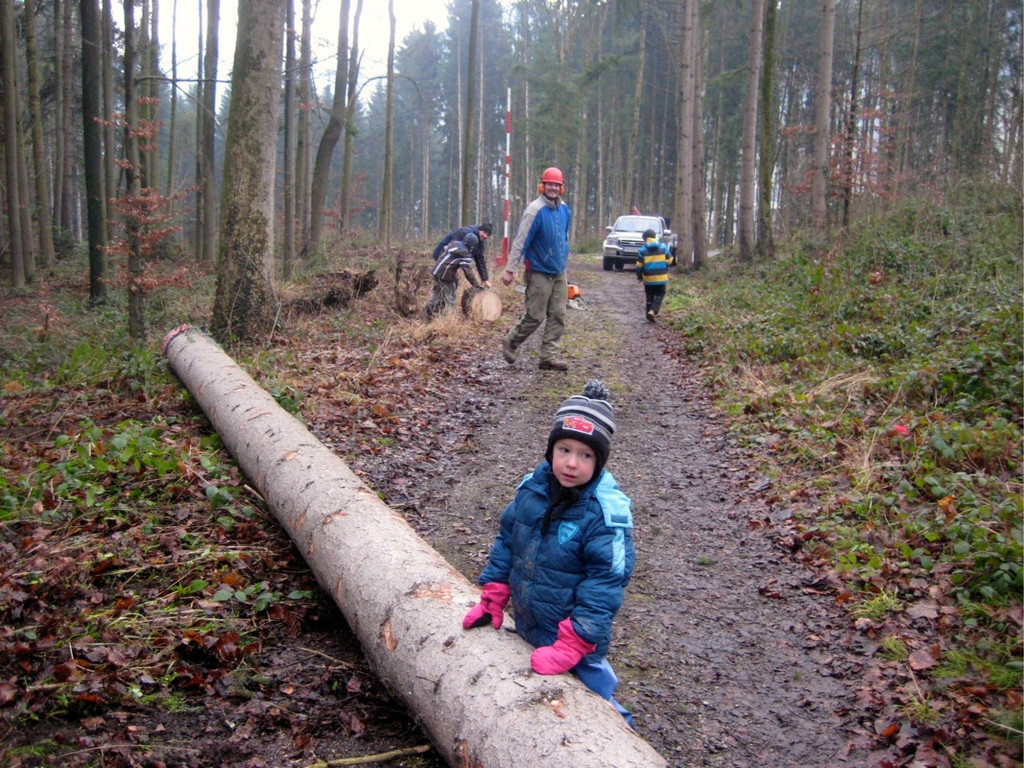 BK_Vorbereitung Funken Fellengatter 1.jpg