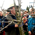 b07.JPG