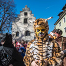 foto-lerch-230214086.jpg