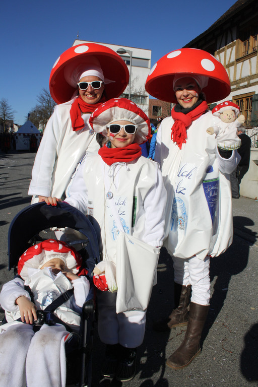Lochau Umzug 2014 _34_.JPG