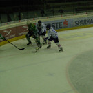 P2230382.JPG