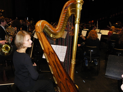 Bild 224_jpg-1270682638