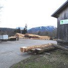 DSCN0237.JPG