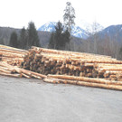DSCN0240.JPG