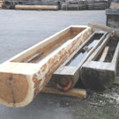 DSCN0239.JPG