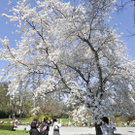 dc1-5twlap5we1c1a8l0d8hi_original.jpg