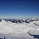 20140223_008_hahnenk__pflelaufauswahl_light.JPG