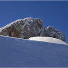 20140223_015_hahnenk__pflelaufauswahl_light.JPG