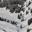 20140223_019_hahnenk__pflelaufauswahl_light.JPG