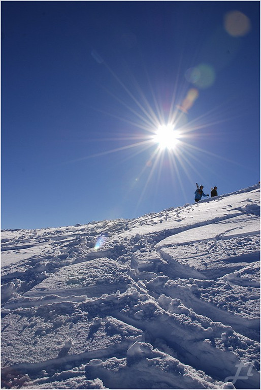 20140223_037_hahnenk__pflelaufauswahl_light.JPG