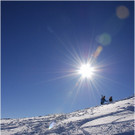 20140223_037_hahnenk__pflelaufauswahl_light.JPG