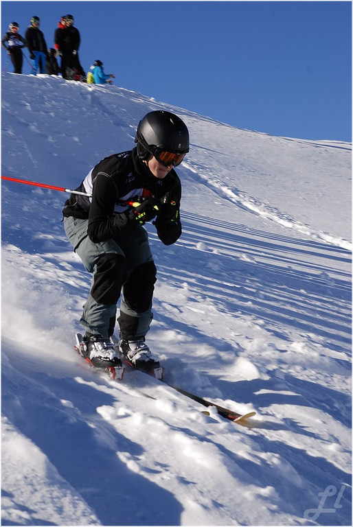 20140223_042_hahnenk__pflelaufauswahl_light.JPG
