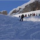20140223_044_hahnenk__pflelaufauswahl_light.JPG