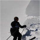 20140223_060_hahnenk__pflelaufauswahl_light.JPG