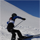 20140223_072_hahnenk__pflelaufauswahl_light.JPG